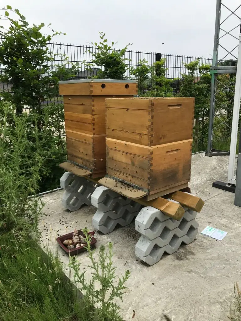 Bijenkorven op site van Renotec als onderdeel van duurzaamheids- en biodiversiteitsproject